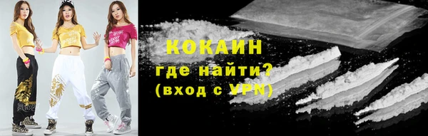 стафф Алексин