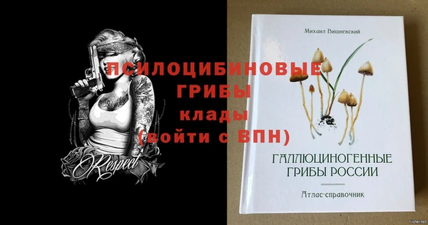 героин Алзамай