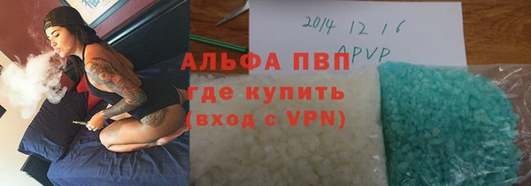 стафф Алексин