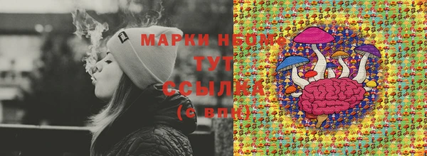 стафф Алексин
