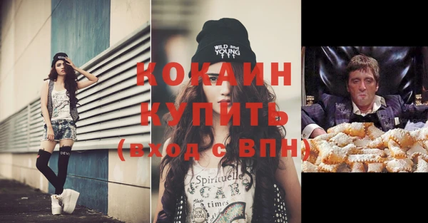 стафф Алексин