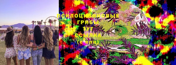 каннабис Алексеевка