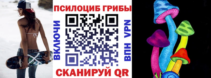 Галлюциногенные грибы Psilocybe  даркнет сайт  Дыгулыбгей 
